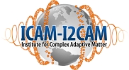 Institute for Complex Adaptive Matter (ICAM)